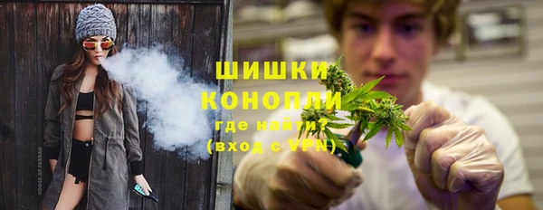 мдпв Мегион