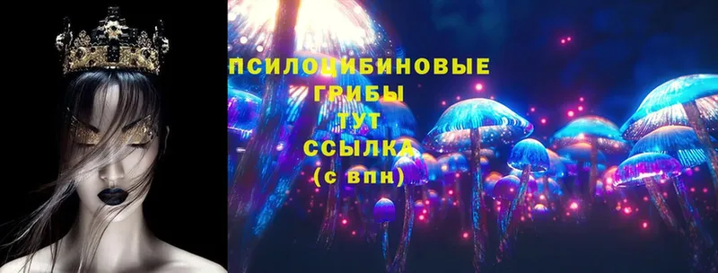 Галлюциногенные грибы Psilocybine cubensis  закладки  OMG ССЫЛКА  Никольск 