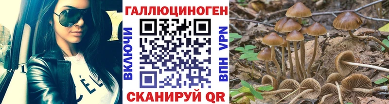 Псилоцибиновые грибы GOLDEN TEACHER  где продают   Никольск 